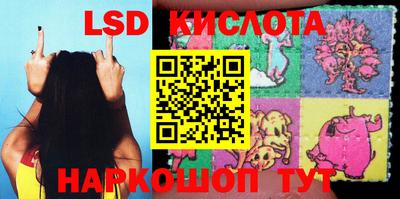 индика Ирбит
