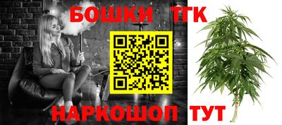 индика Ирбит