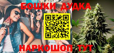 индика Ирбит