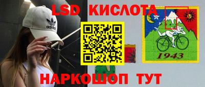 индика Ирбит