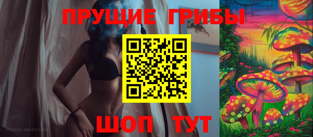 Галлюциногенные грибы Psilocybe Кызыл